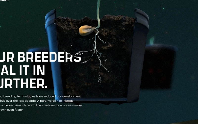 Corn Revolutionized — 3D-сцена
